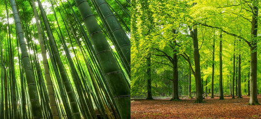 Bamboo vs. Tencel